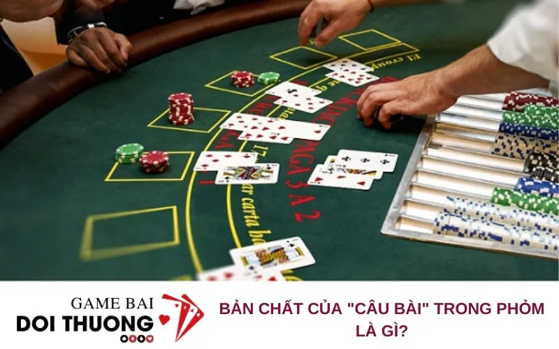 Bản chất của "câu bài" trong Phỏm là gì?